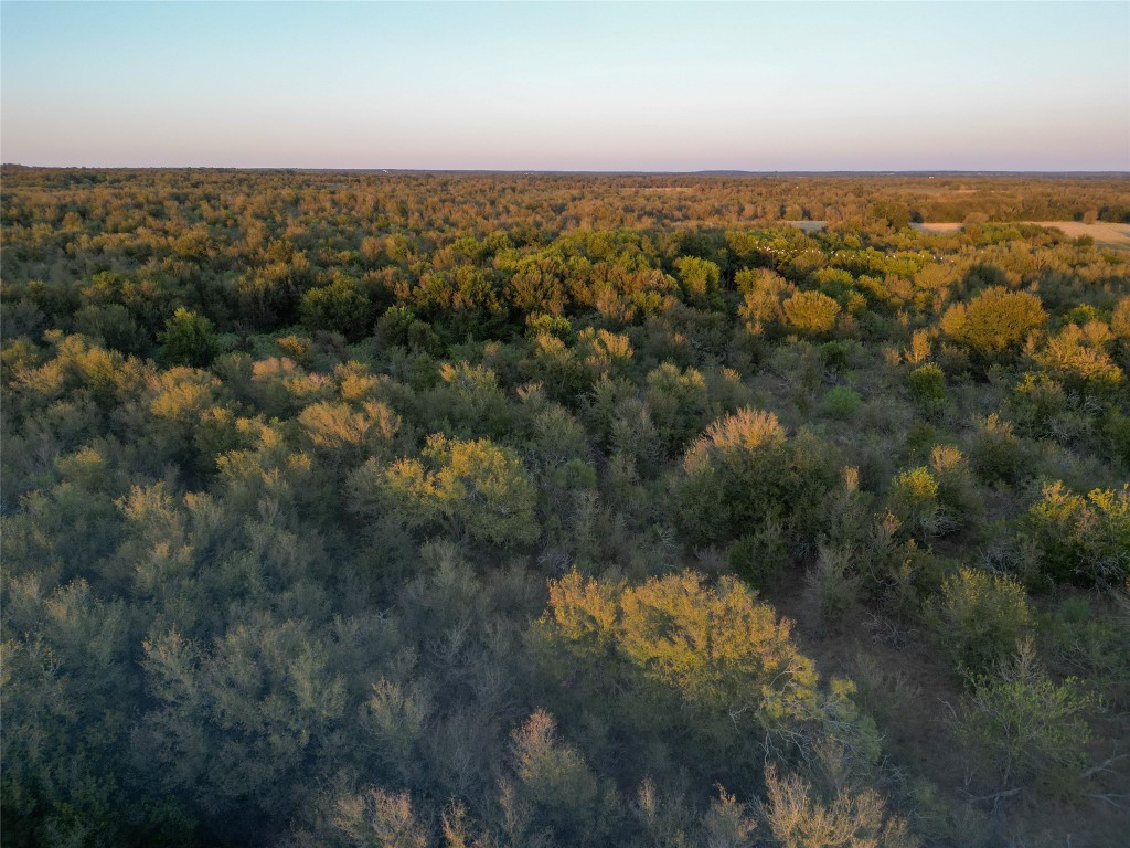 3935 County Road 464 , Elgin, TX, 78621 | 4424771 | Realty Texas LLC