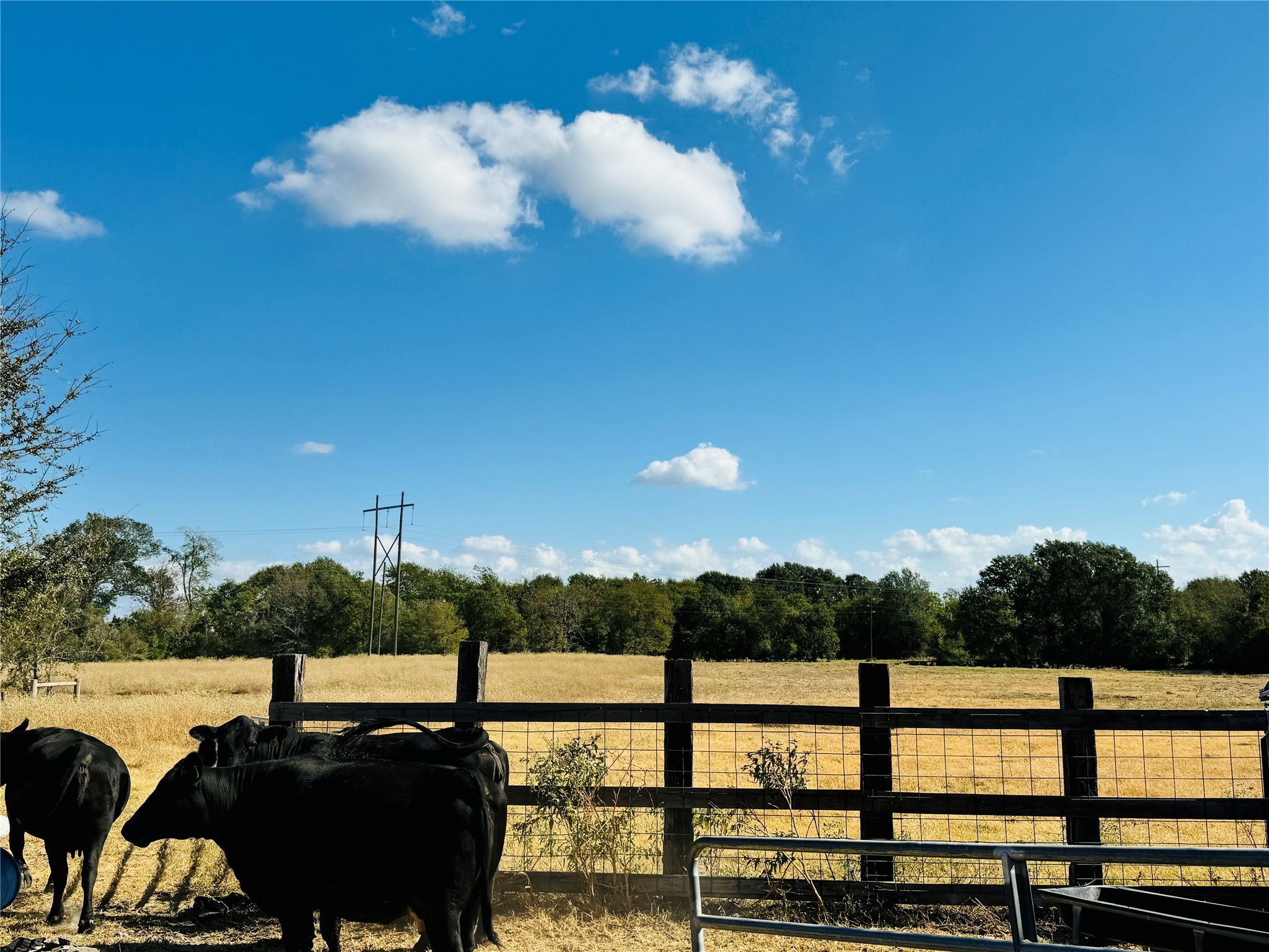 1965 Pee Dee Lane , Madisonville, TX, 77864 | 12176152 | Realty Texas LLC