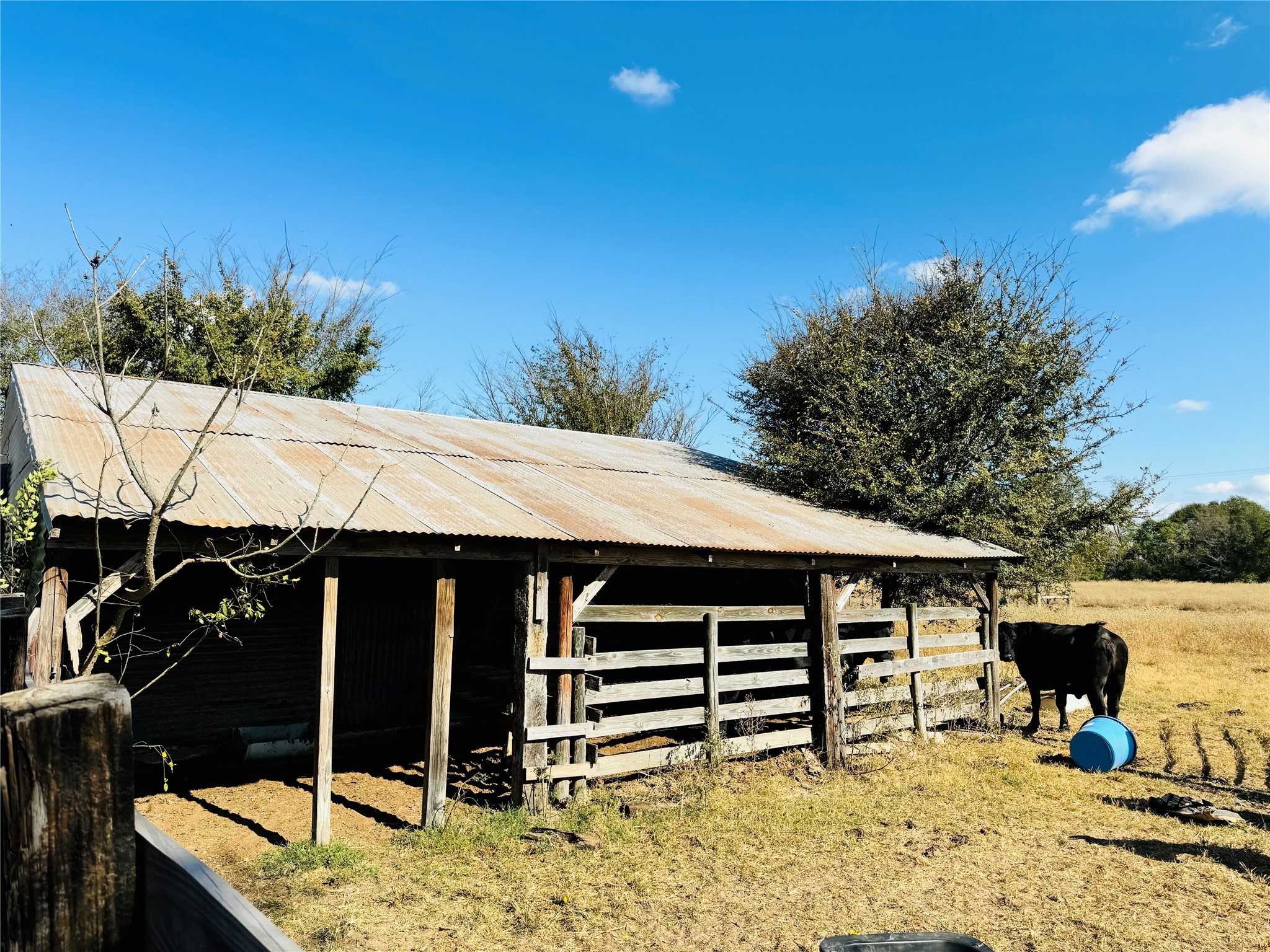 1965 Pee Dee Lane , Madisonville, TX, 77864 | 12176152 | Realty Texas LLC