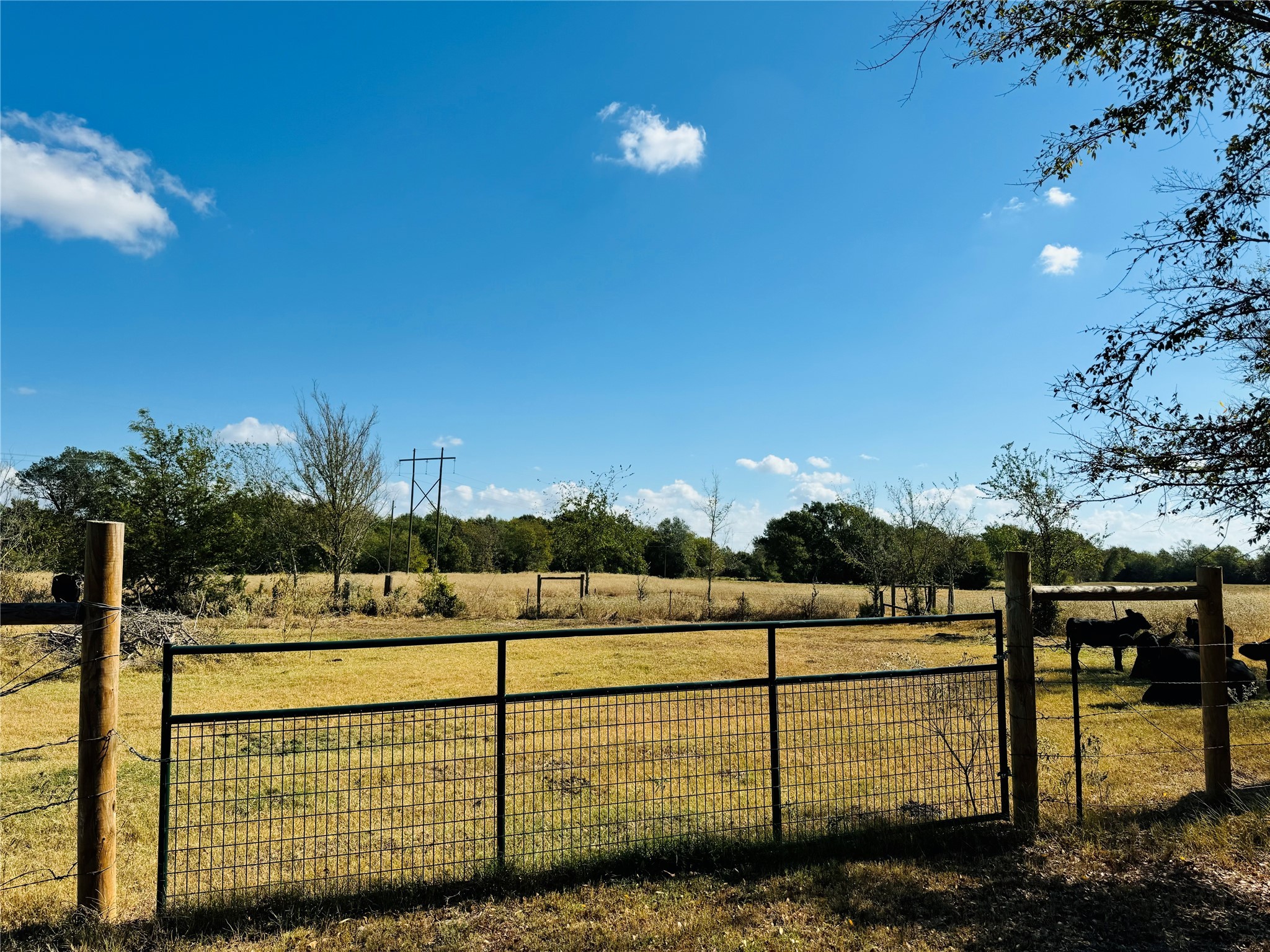 1965 Pee Dee Lane , Madisonville, TX, 77864 | 12176152 | Realty Texas LLC