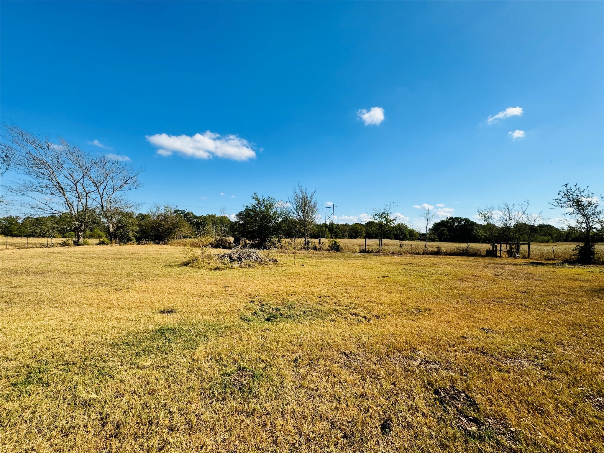 1965 Pee Dee Lane , Madisonville, TX, 77864 | 12176152 | Realty Texas LLC