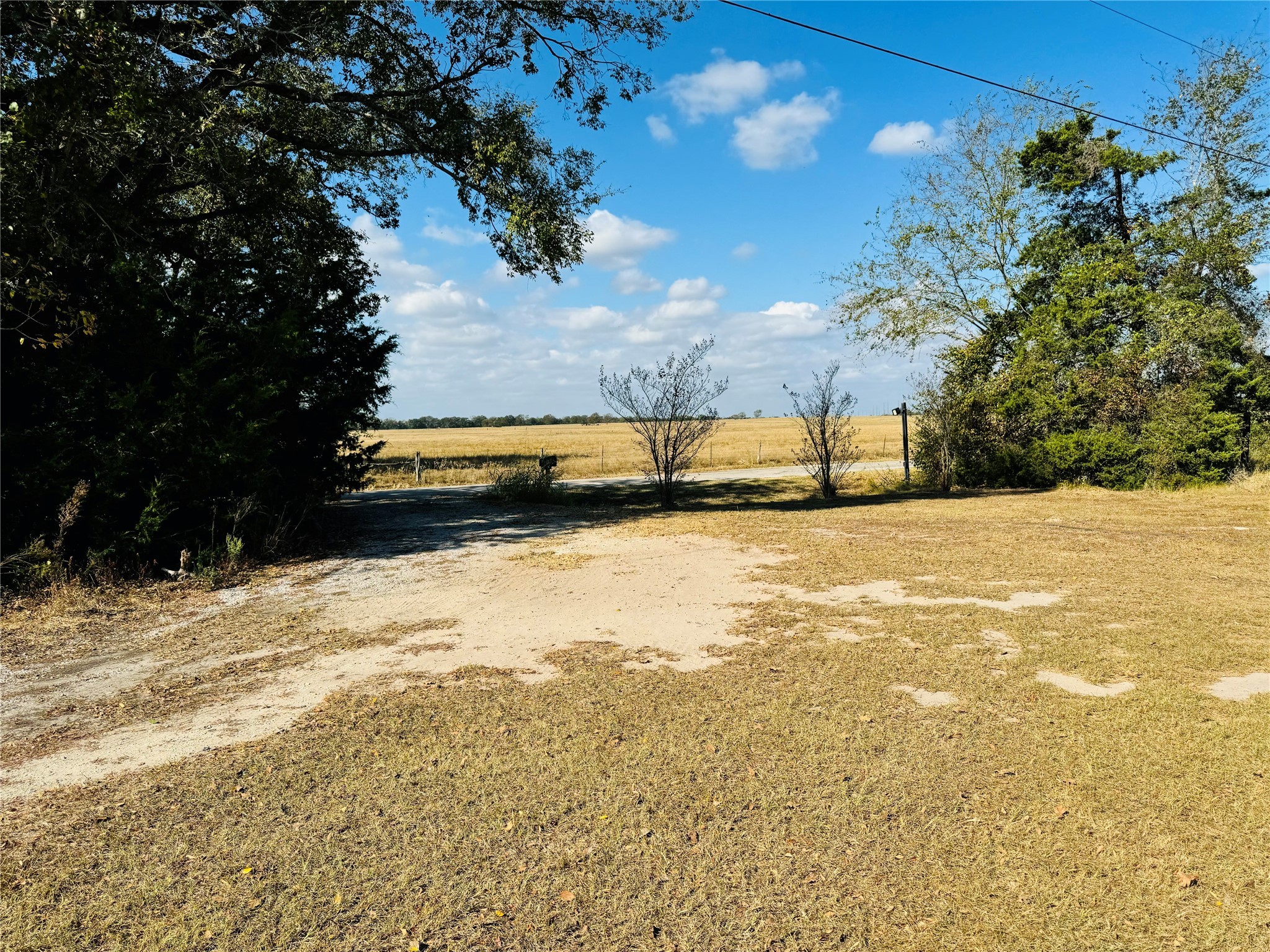 1965 Pee Dee Lane , Madisonville, TX, 77864 | 12176152 | Realty Texas LLC