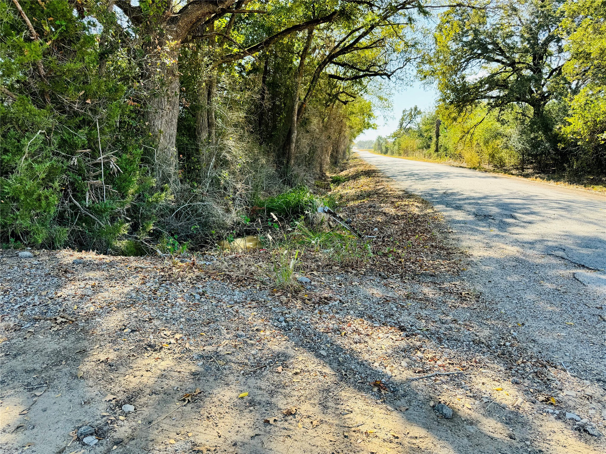 1965 Pee Dee Lane , Madisonville, TX, 77864 | 12176152 | Realty Texas LLC
