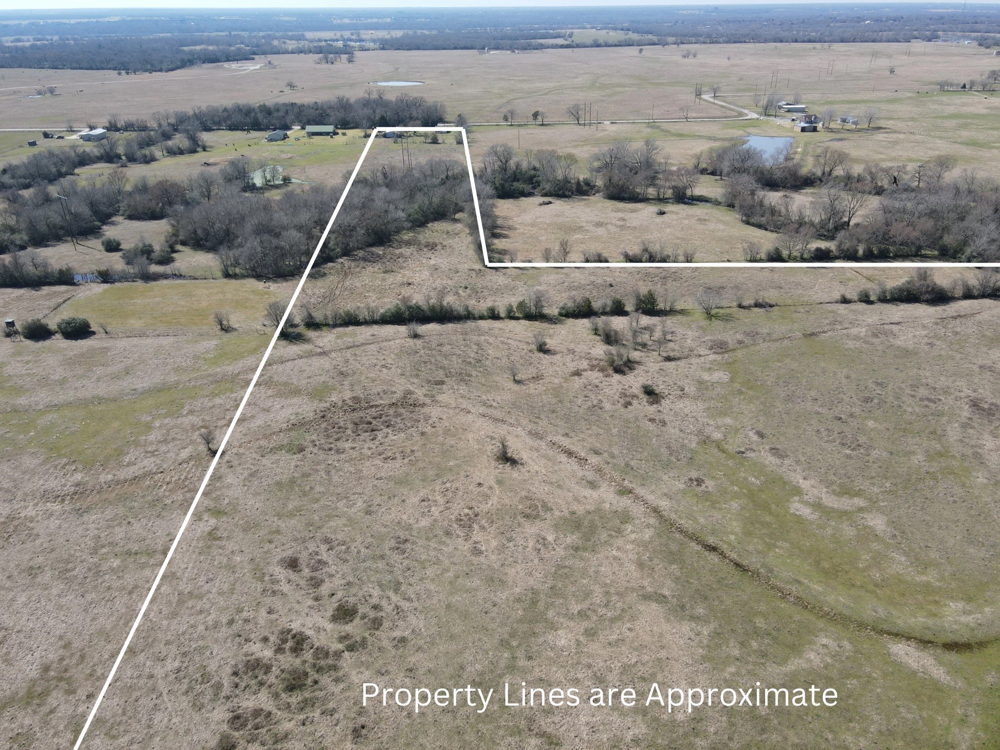 1965 Pee Dee Lane , Madisonville, TX, 77864 | 12176152 | Realty Texas LLC
