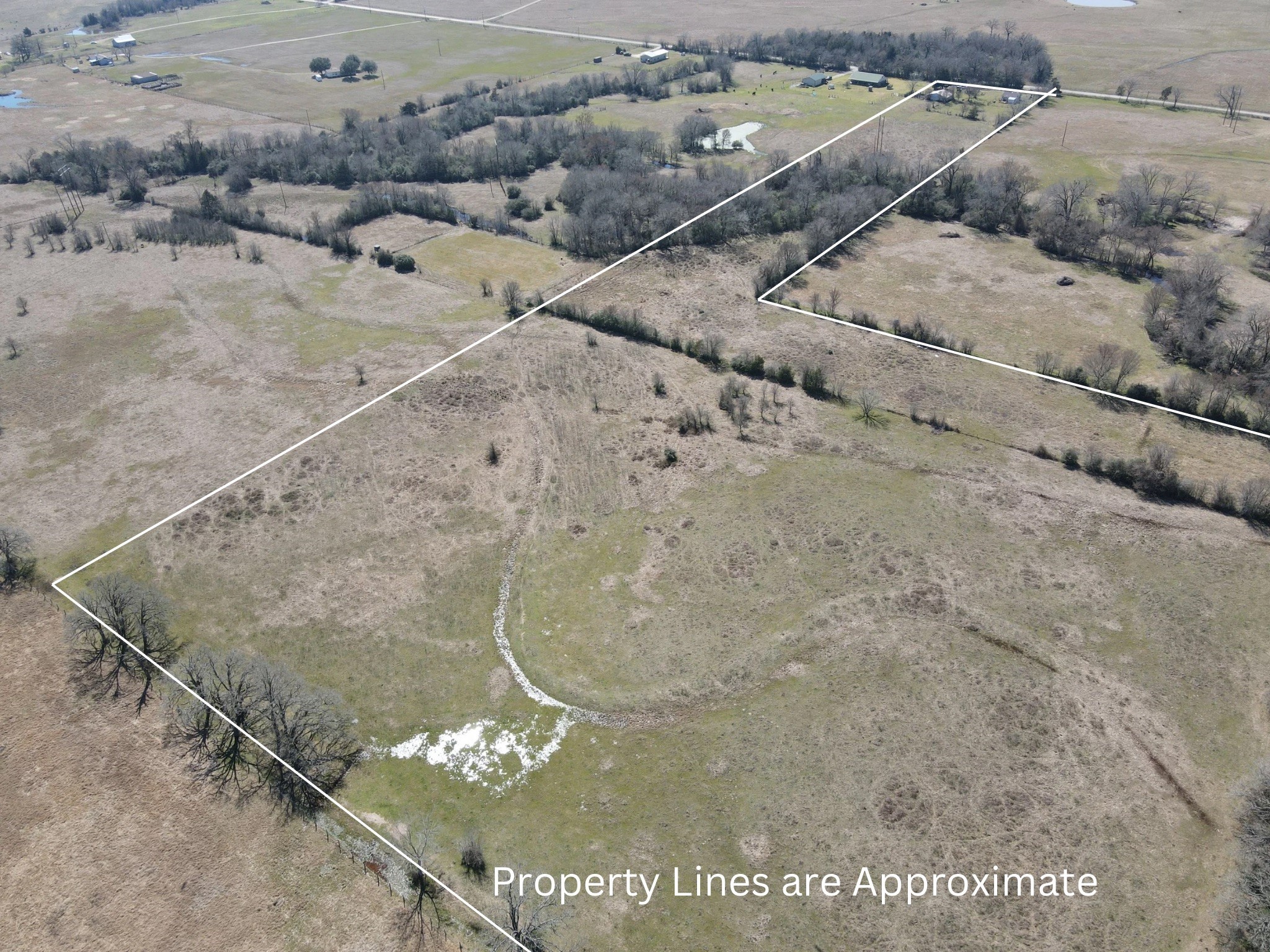 1965 Pee Dee Lane , Madisonville, TX, 77864 | 12176152 | Realty Texas LLC