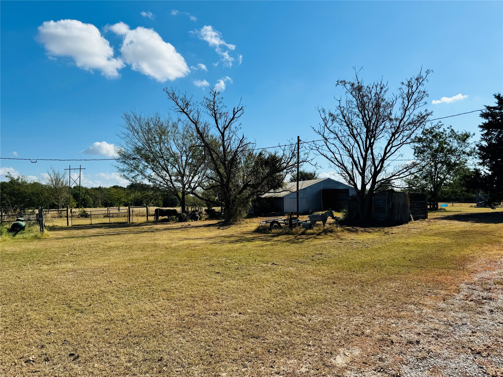 1965 Pee Dee Lane , Madisonville, TX, 77864 | 12176152 | Realty Texas LLC
