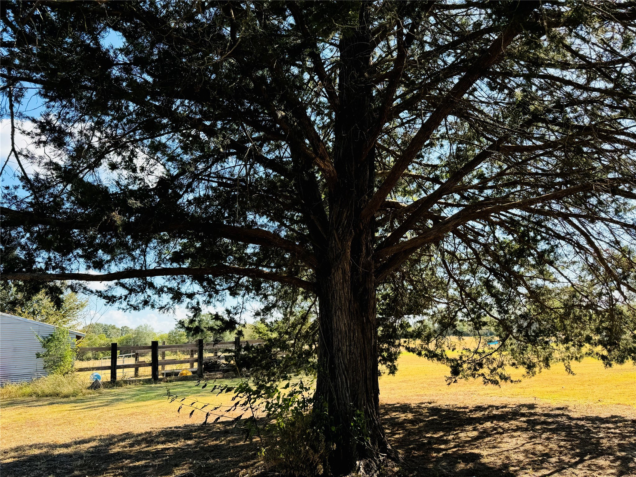 1965 Pee Dee Lane , Madisonville, TX, 77864 | 12176152 | Realty Texas LLC