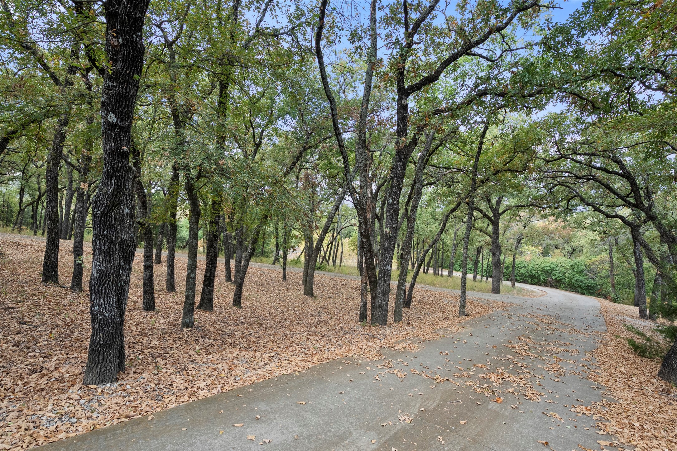 217 Williams Road , Fort Worth, TX, 76120 | 20767741 | Realty Texas LLC