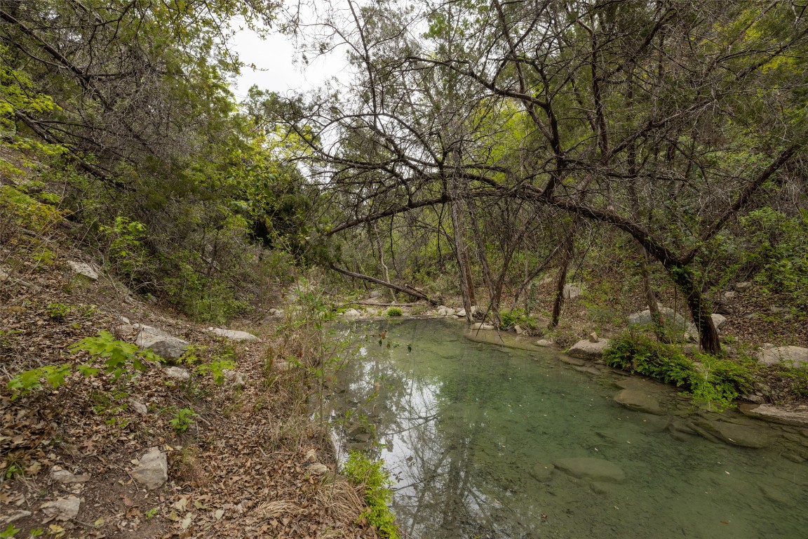 15101 Dexler Drive , Austin, TX, 78734 | 8481678 | Realty Texas LLC