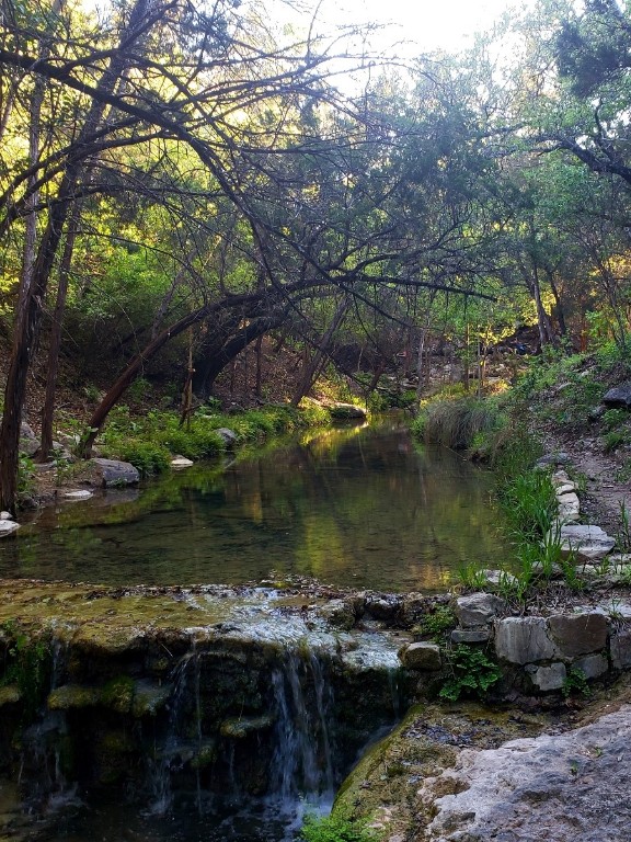 15101 Dexler Drive , Austin, TX, 78734 | 8481678 | Realty Texas LLC