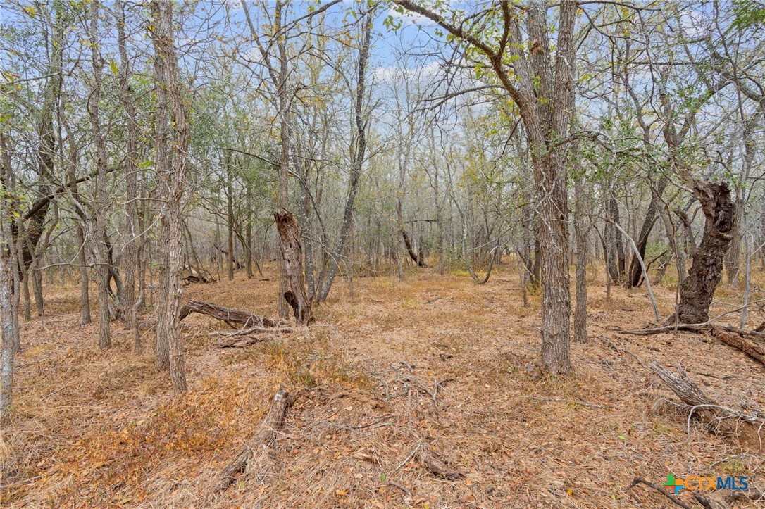 1900 Callihan Road , Luling, TX, 78648 | 561876 | Realty Texas LLC