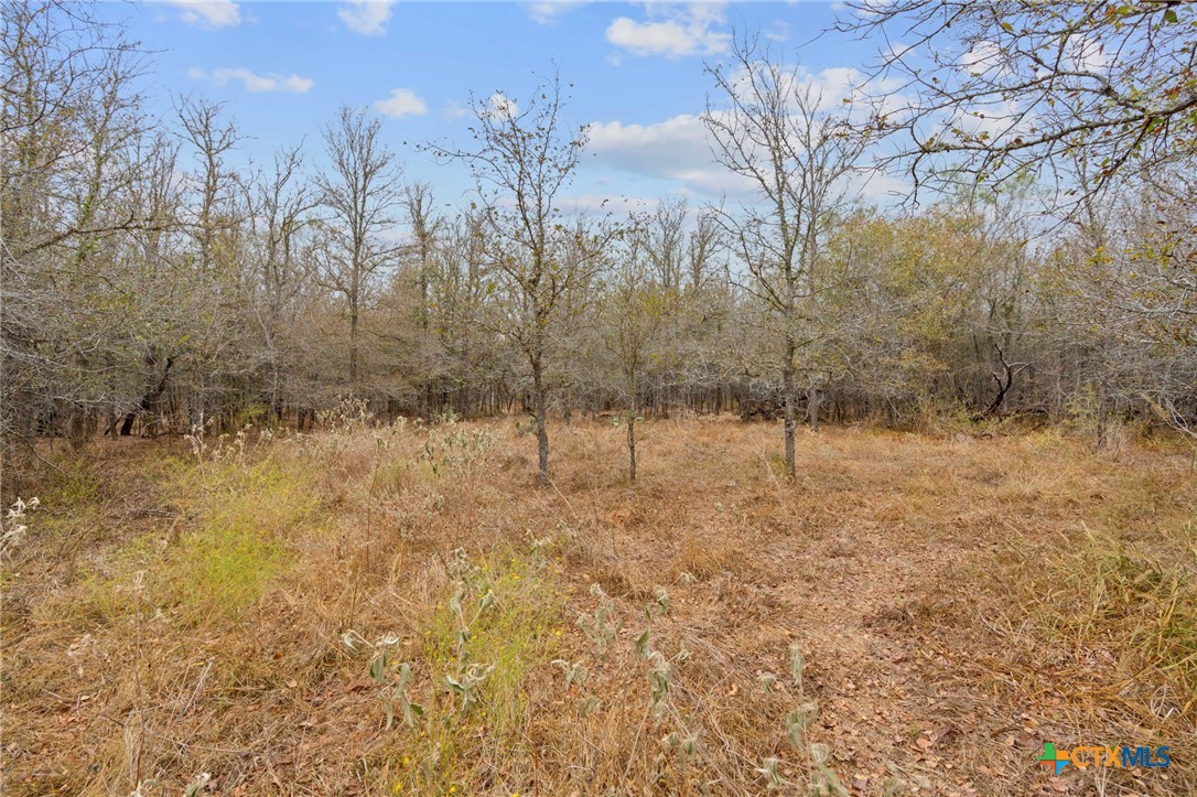 1900 Callihan Road , Luling, TX, 78648 | 561876 | Realty Texas LLC