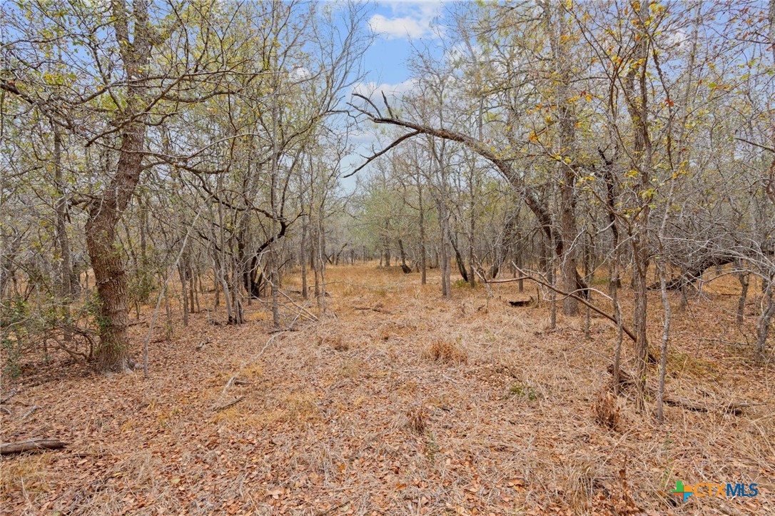 1900 Callihan Road , Luling, TX, 78648 | 561876 | Realty Texas LLC