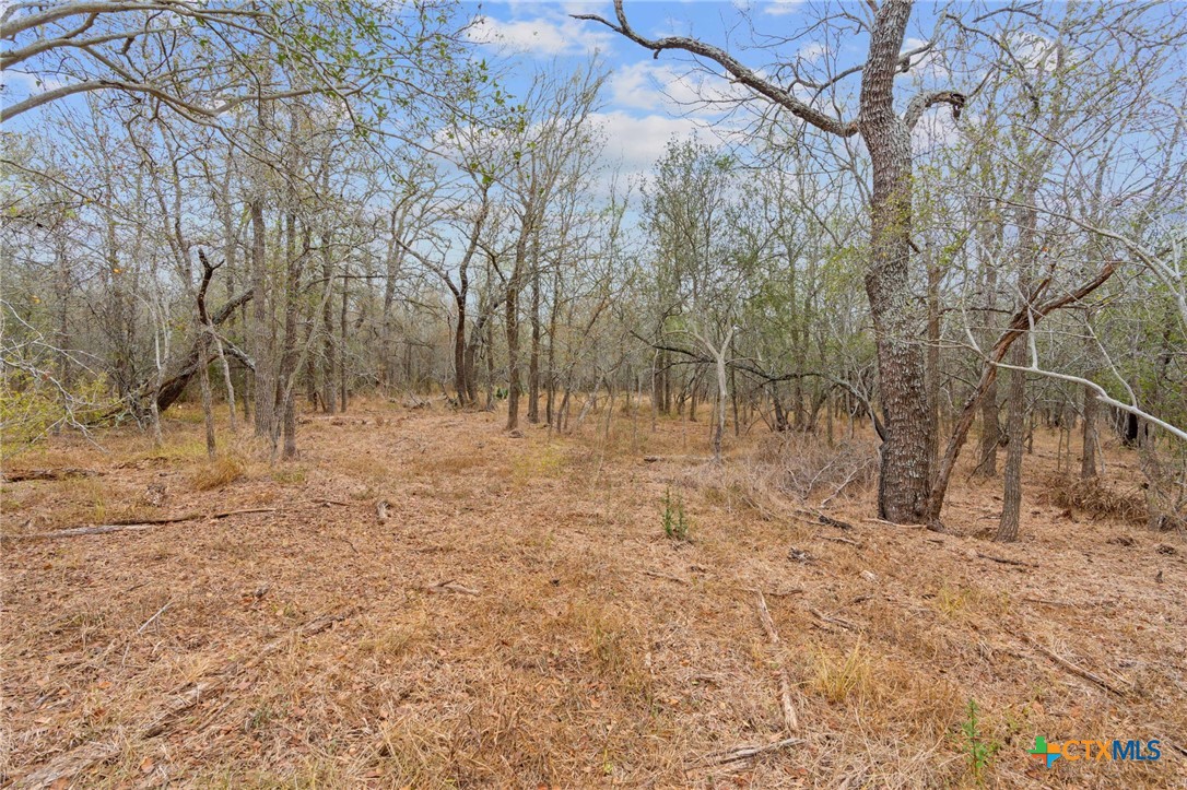 1900 Callihan Road , Luling, TX, 78648 | 561876 | Realty Texas LLC