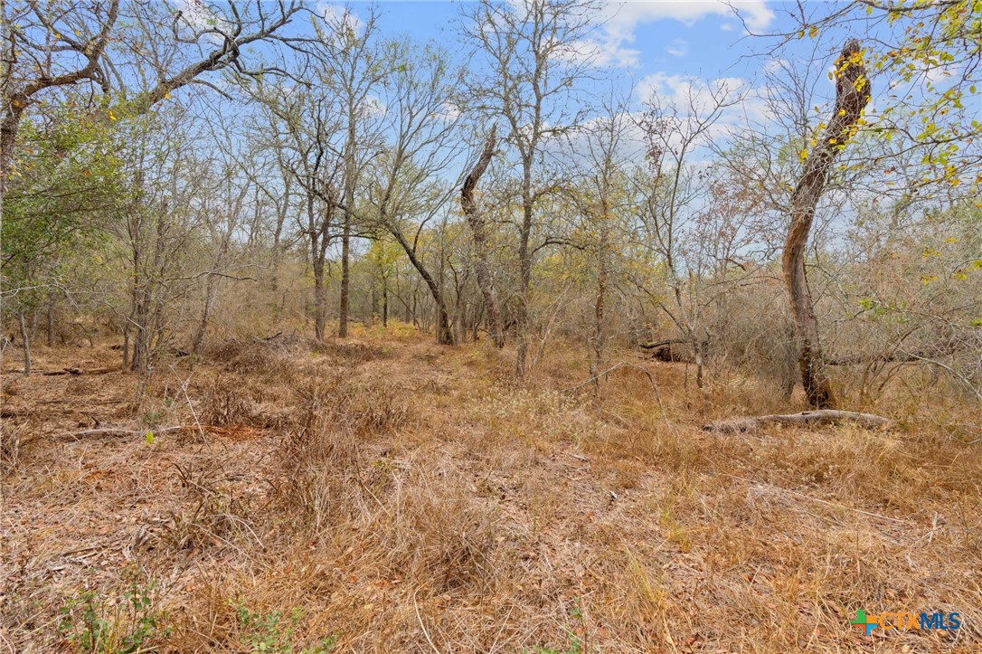 1900 Callihan Road , Luling, TX, 78648 | 561876 | Realty Texas LLC