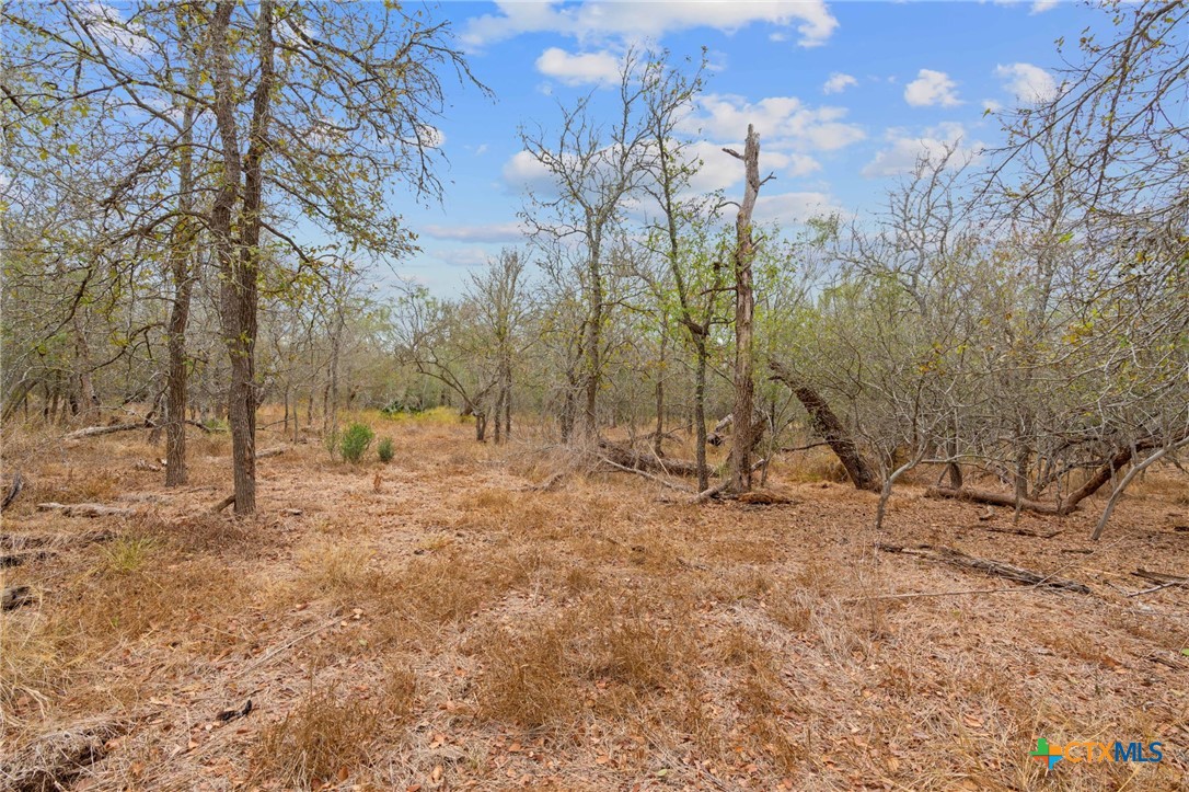 1900 Callihan Road , Luling, TX, 78648 | 561876 | Realty Texas LLC