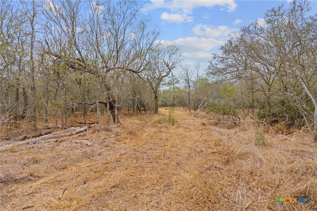 1900 Callihan Road , Luling, TX, 78648 | 561876 | Realty Texas LLC