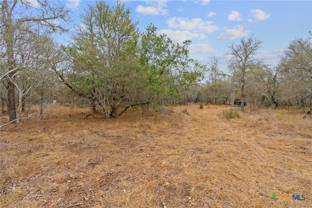 1900 Callihan Road , Luling, TX, 78648 | 561876 | Realty Texas LLC