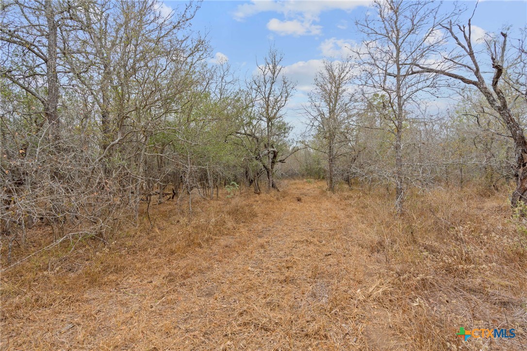 1900 Callihan Road , Luling, TX, 78648 | 561876 | Realty Texas LLC