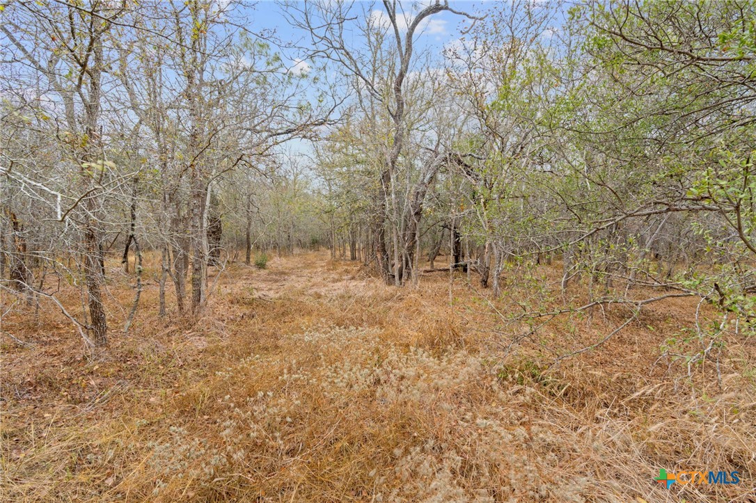 1900 Callihan Road , Luling, TX, 78648 | 561876 | Realty Texas LLC