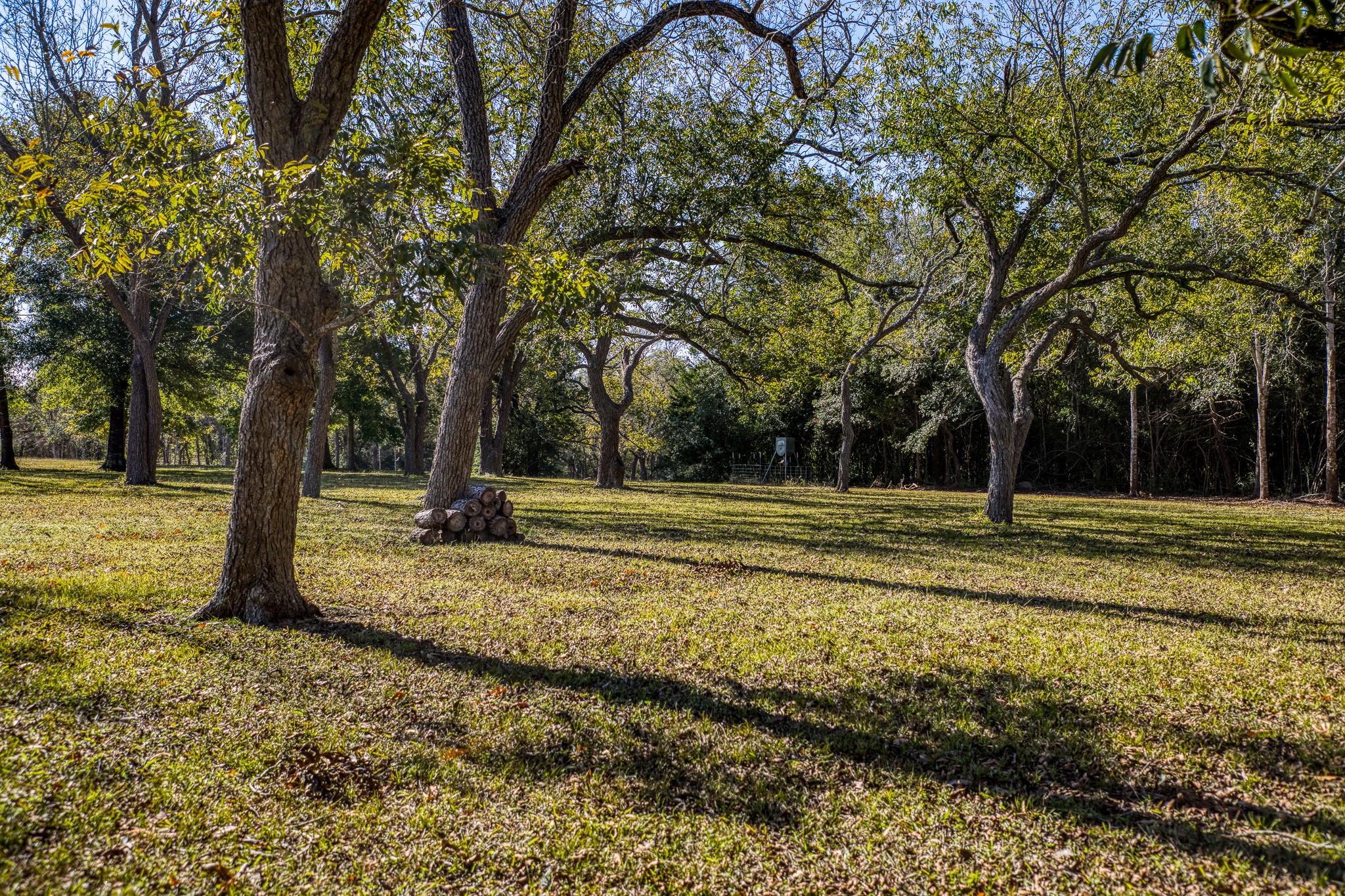 1598 Tiemann Road , New Ulm, TX, 78950 | 16415437 | Realty Texas LLC