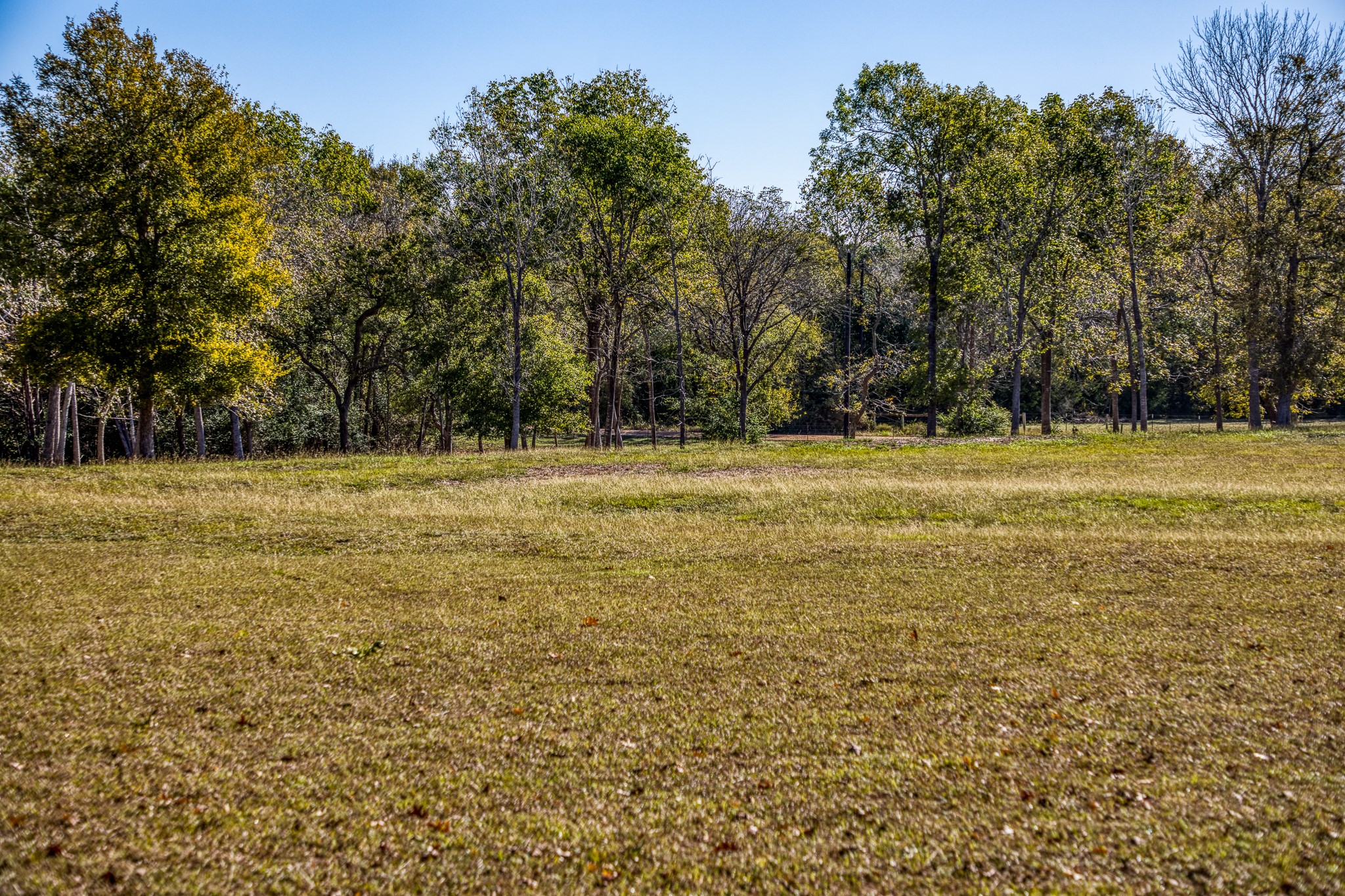 1598 Tiemann Road , New Ulm, TX, 78950 | 16415437 | Realty Texas LLC
