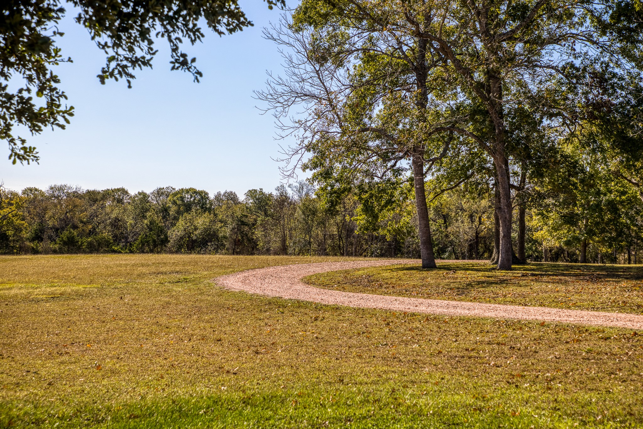 1598 Tiemann Road , New Ulm, TX, 78950 | 16415437 | Realty Texas LLC