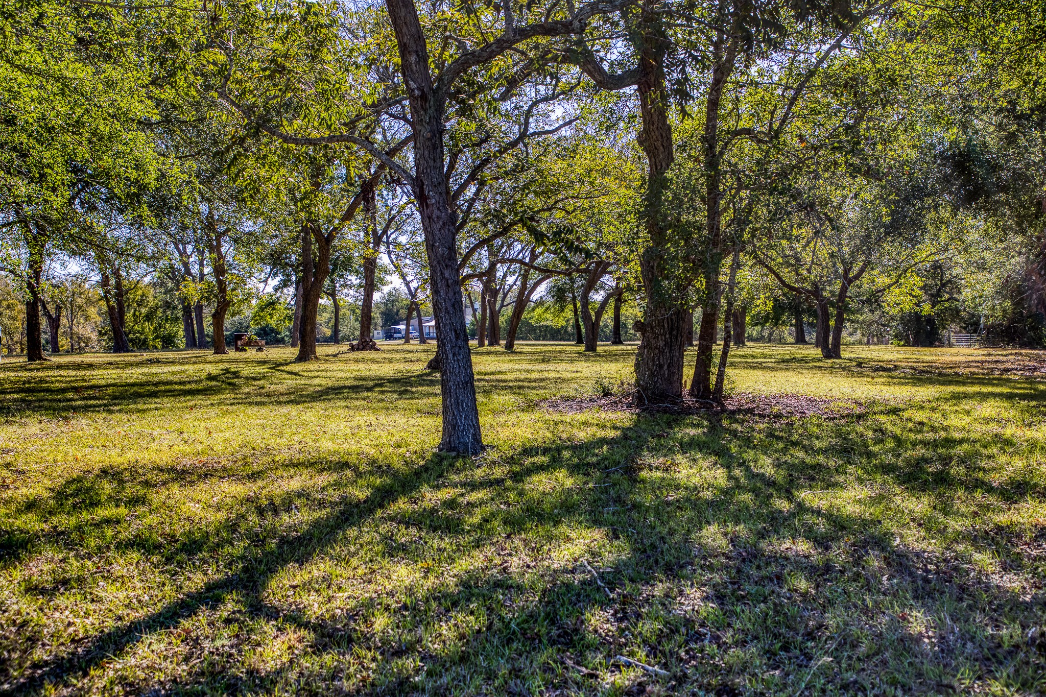 1598 Tiemann Road , New Ulm, TX, 78950 | 16415437 | Realty Texas LLC