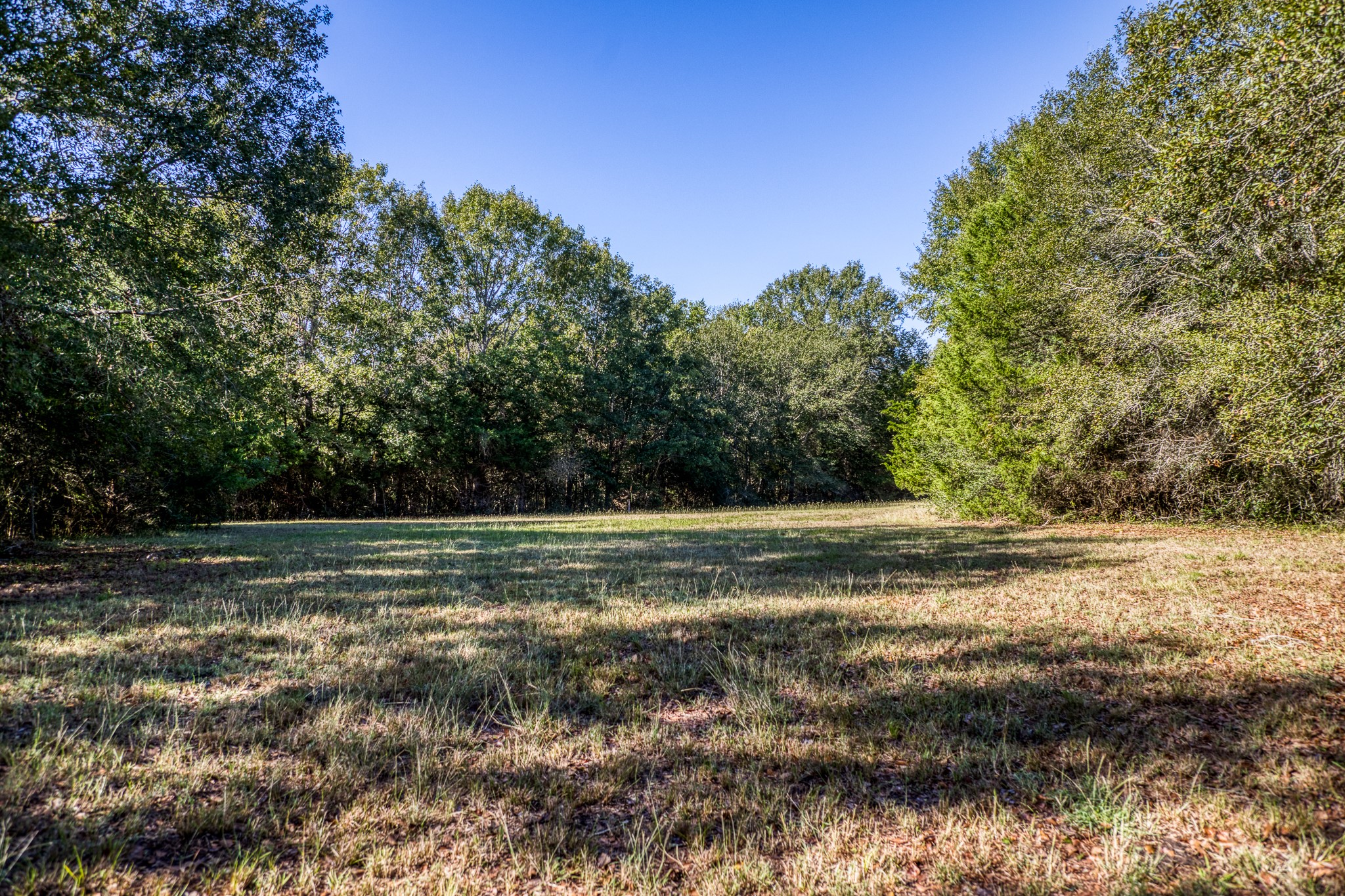 1598 Tiemann Road , New Ulm, TX, 78950 | 16415437 | Realty Texas LLC