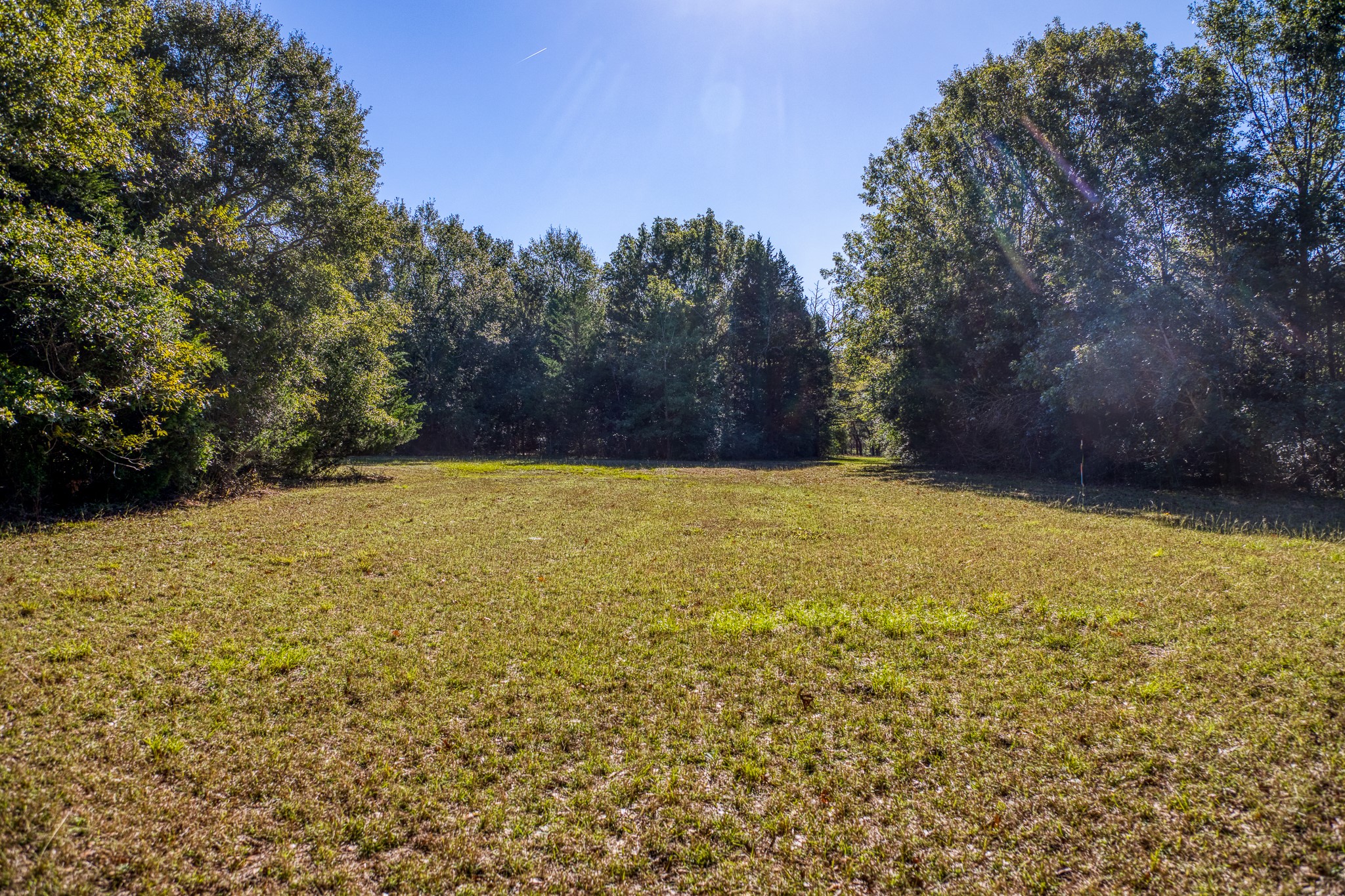 1598 Tiemann Road , New Ulm, TX, 78950 | 16415437 | Realty Texas LLC
