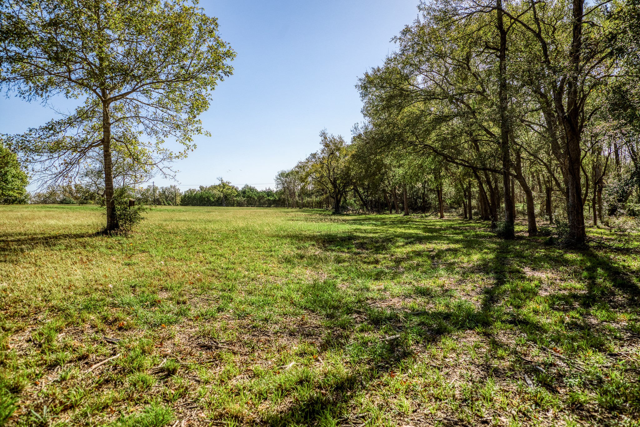 1598 Tiemann Road , New Ulm, TX, 78950 | 16415437 | Realty Texas LLC