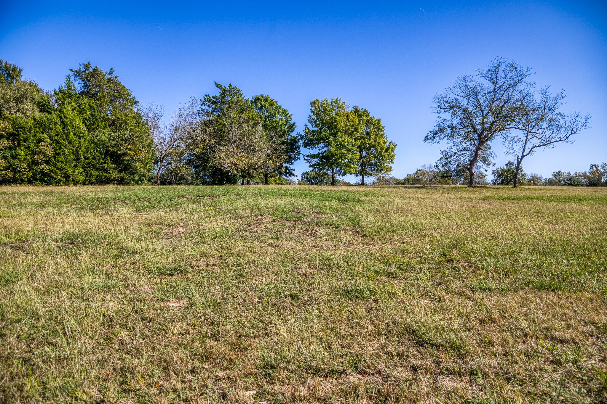 1598 Tiemann Road , New Ulm, TX, 78950 | 16415437 | Realty Texas LLC