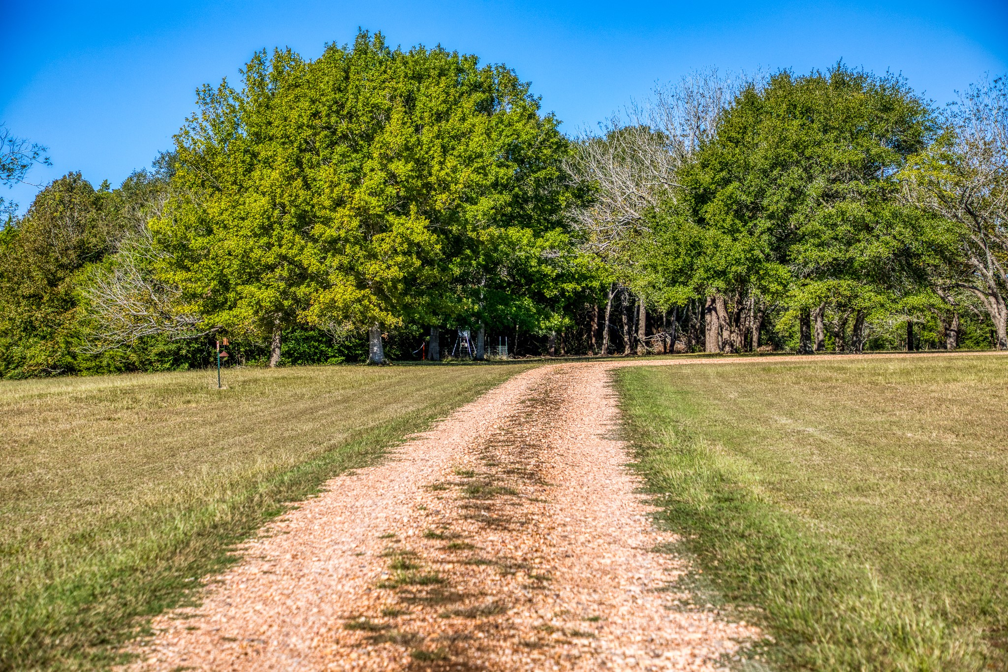 1598 Tiemann Road , New Ulm, TX, 78950 | 16415437 | Realty Texas LLC