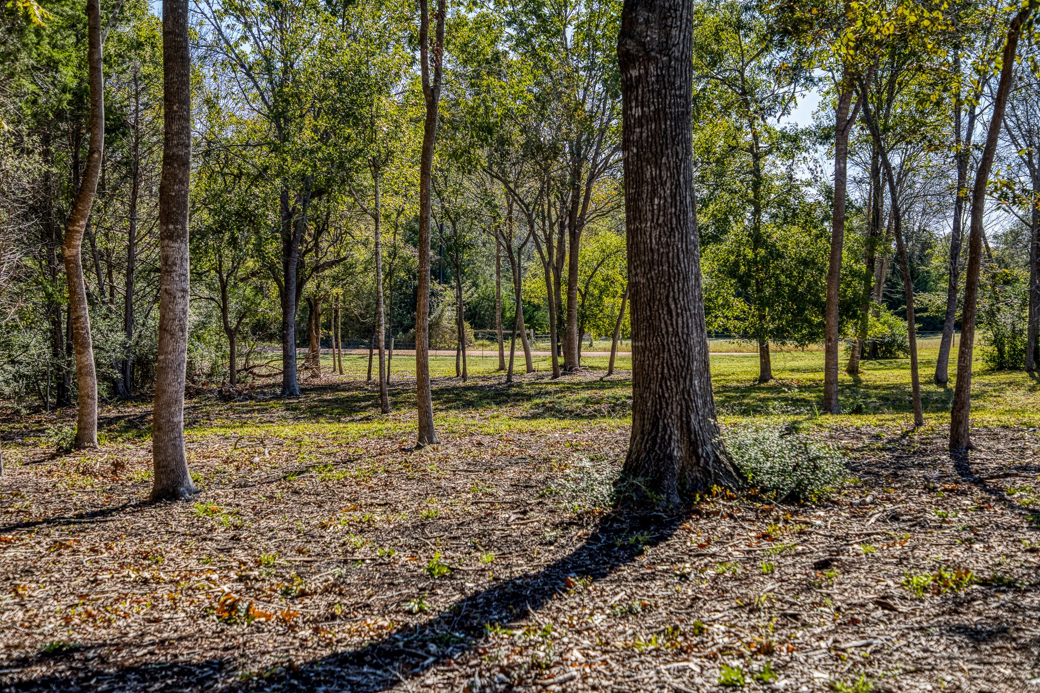 1598 Tiemann Road , New Ulm, TX, 78950 | 16415437 | Realty Texas LLC