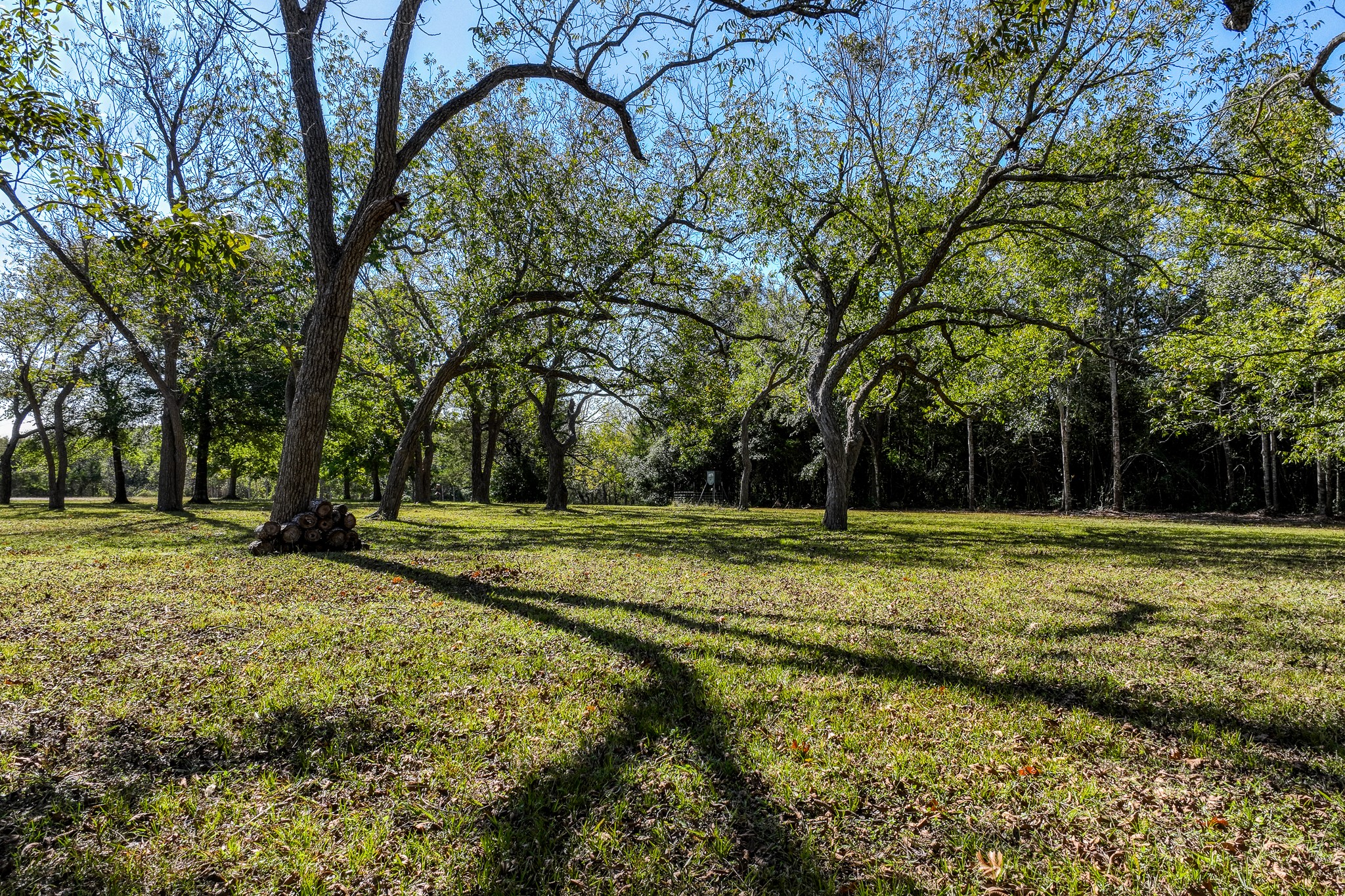 1598 Tiemann Road , New Ulm, TX, 78950 | 16415437 | Realty Texas LLC