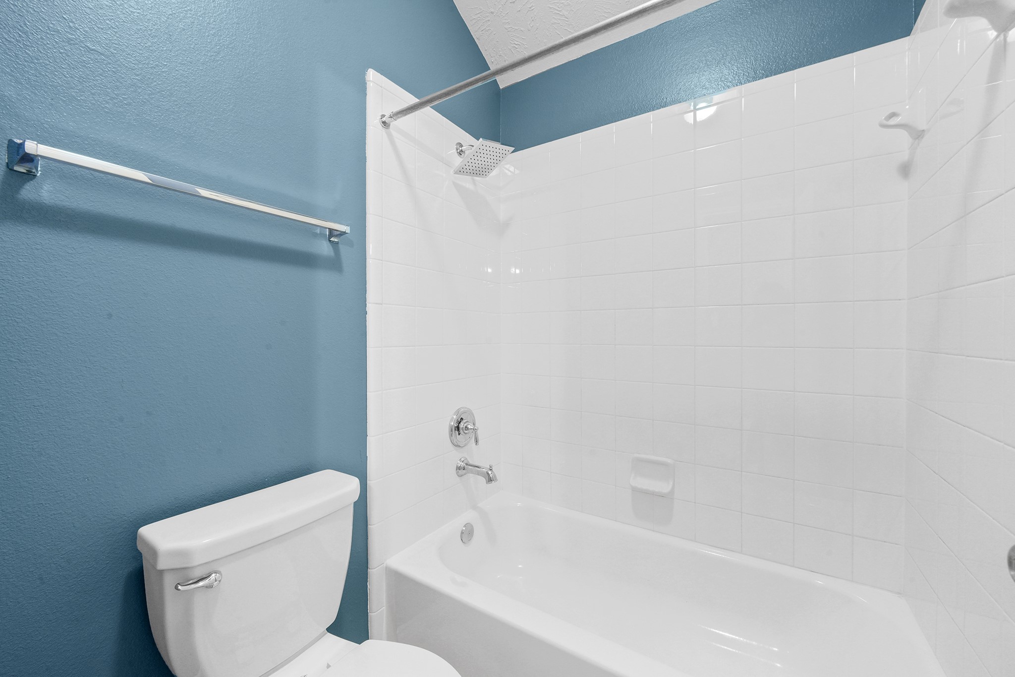 13815 Kodiak Brown Bear Street 