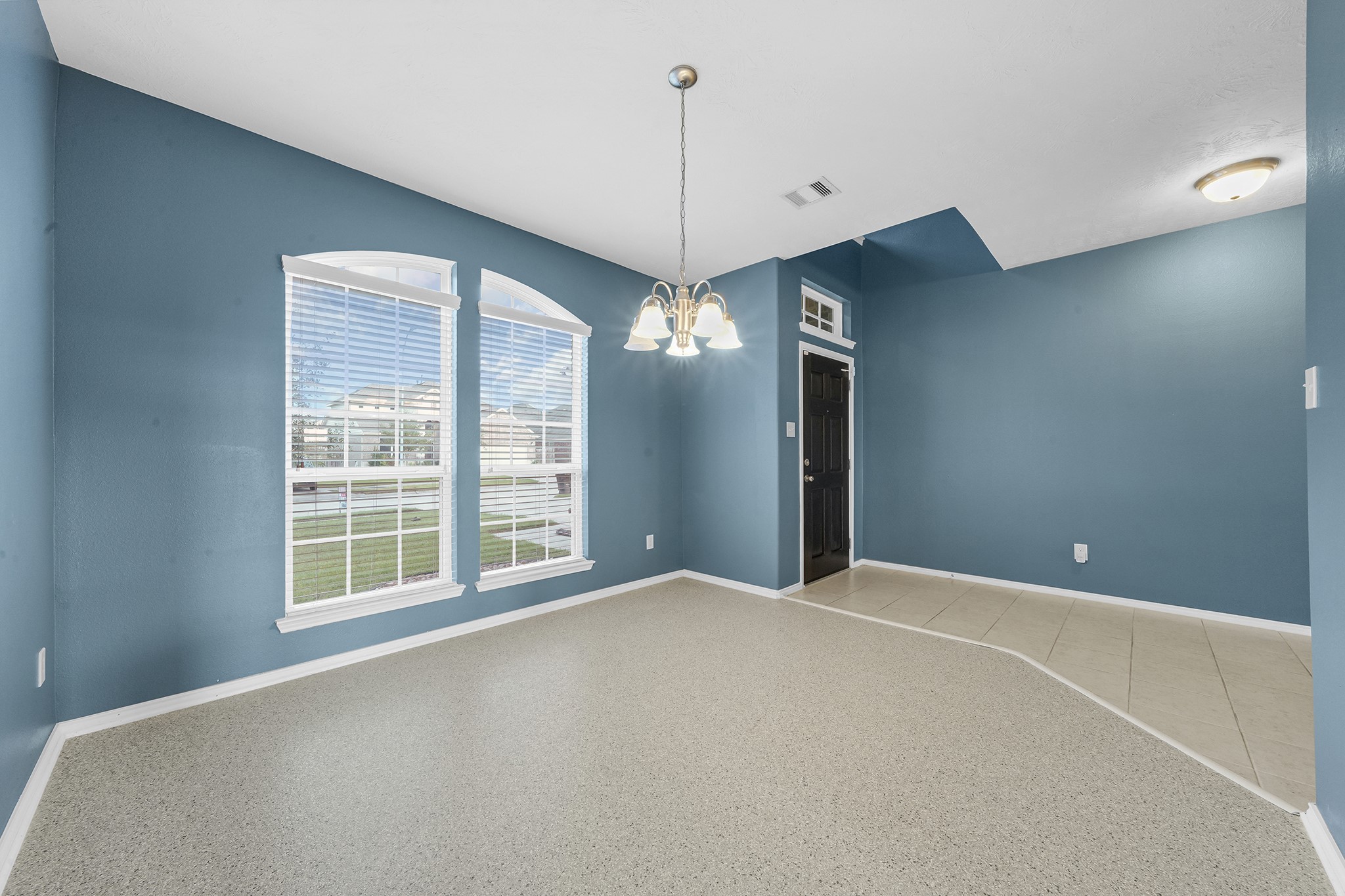 13815 Kodiak Brown Bear Street 