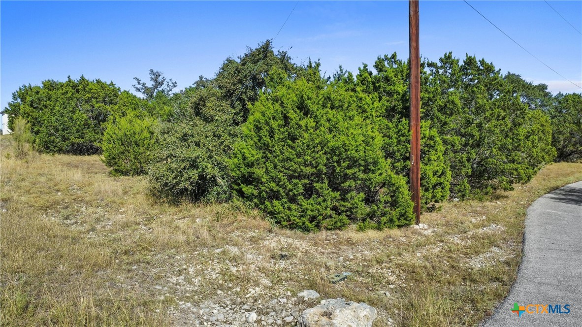319 Toucan Drive , Spring Branch, TX, 78070 | 562146 | Realty Texas LLC