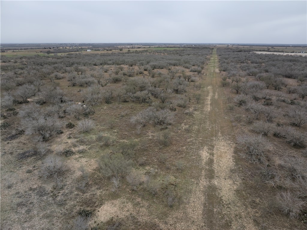 CR 176 , Kenedy, TX, 78119 | 450807 | Realty Texas LLC