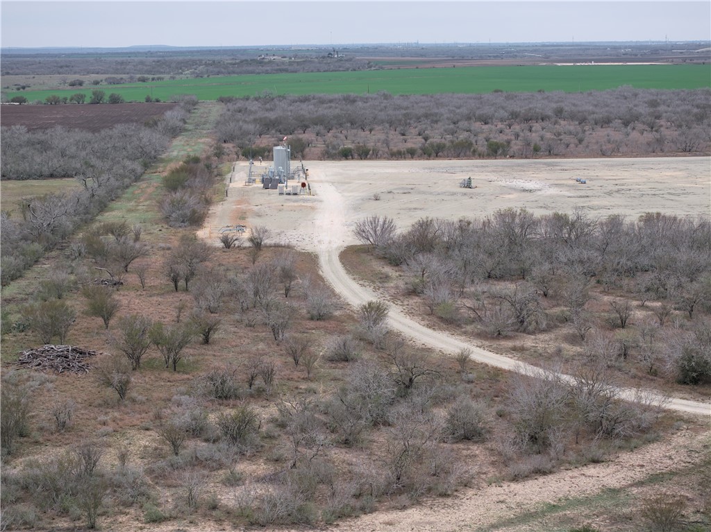 CR 176 , Kenedy, TX, 78119 | 450807 | Realty Texas LLC