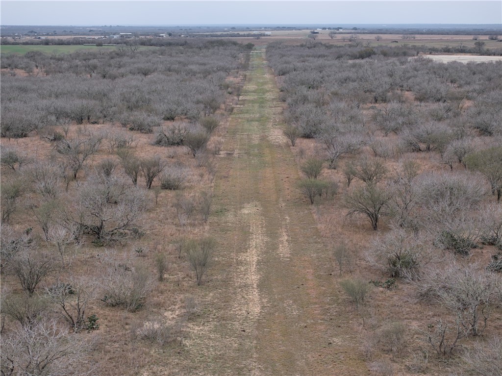 CR 176 , Kenedy, TX, 78119 | 450807 | Realty Texas LLC