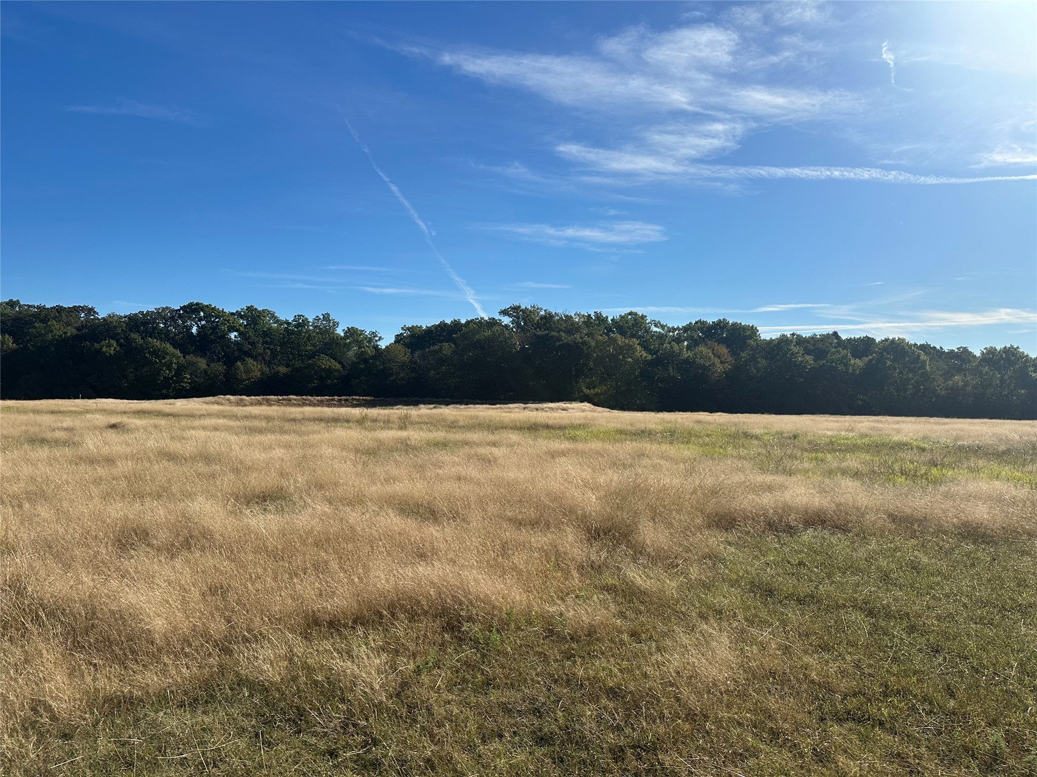 2238 Riley Road , Whitesboro, TX, 76273 | 20776073 | Realty Texas LLC