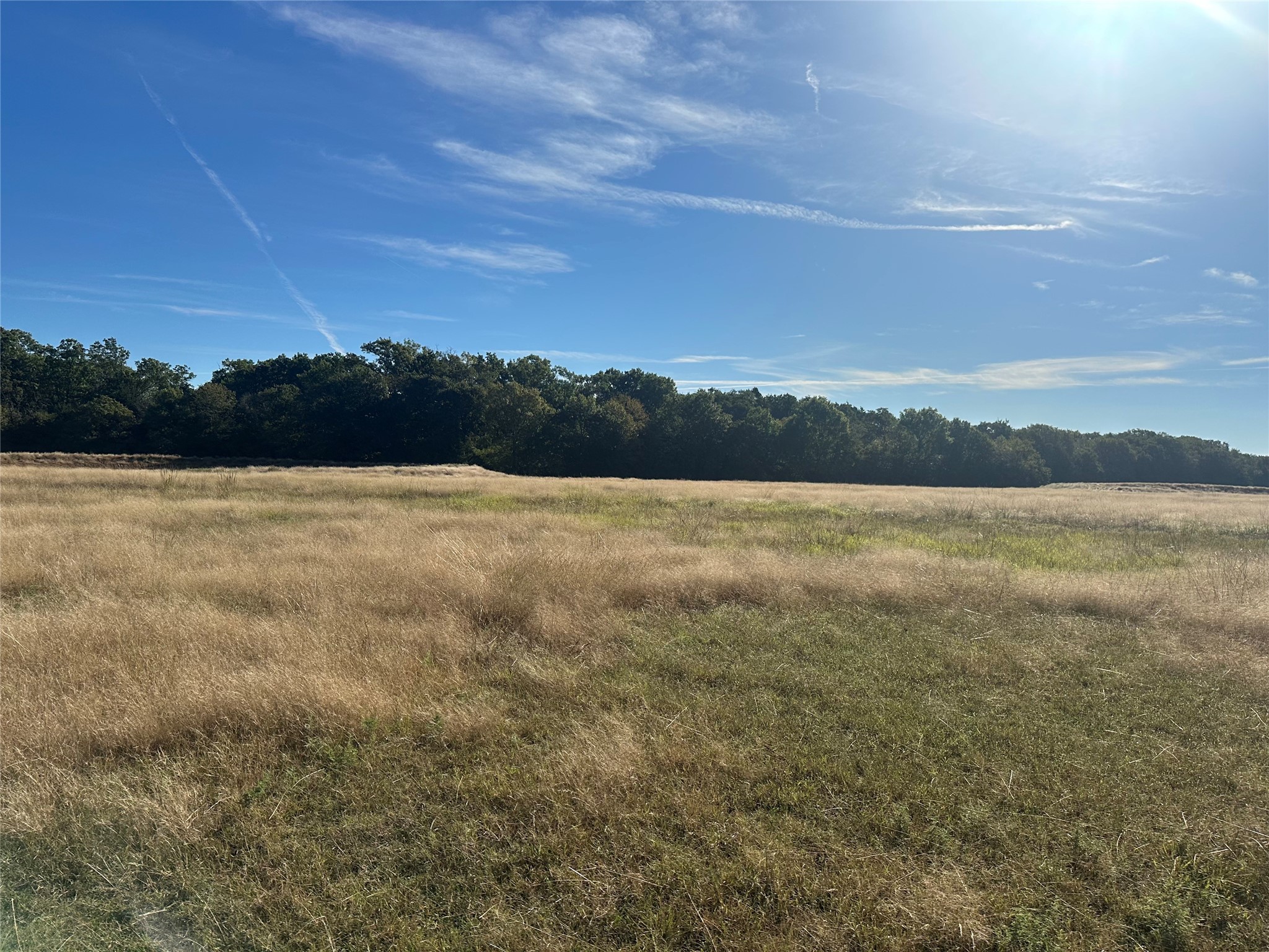 2238 Riley Road , Whitesboro, TX, 76273 | 20776073 | Realty Texas LLC