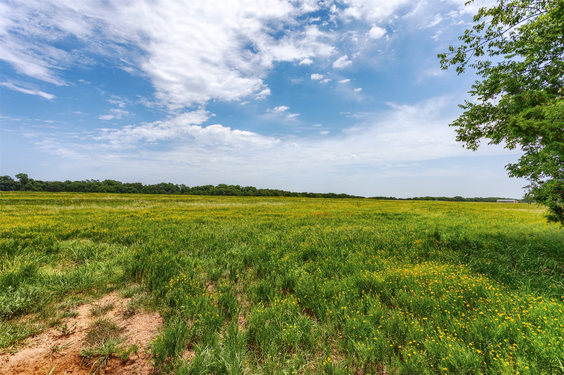 2238 Riley Road , Whitesboro, TX, 76273 | 20776073 | Realty Texas LLC