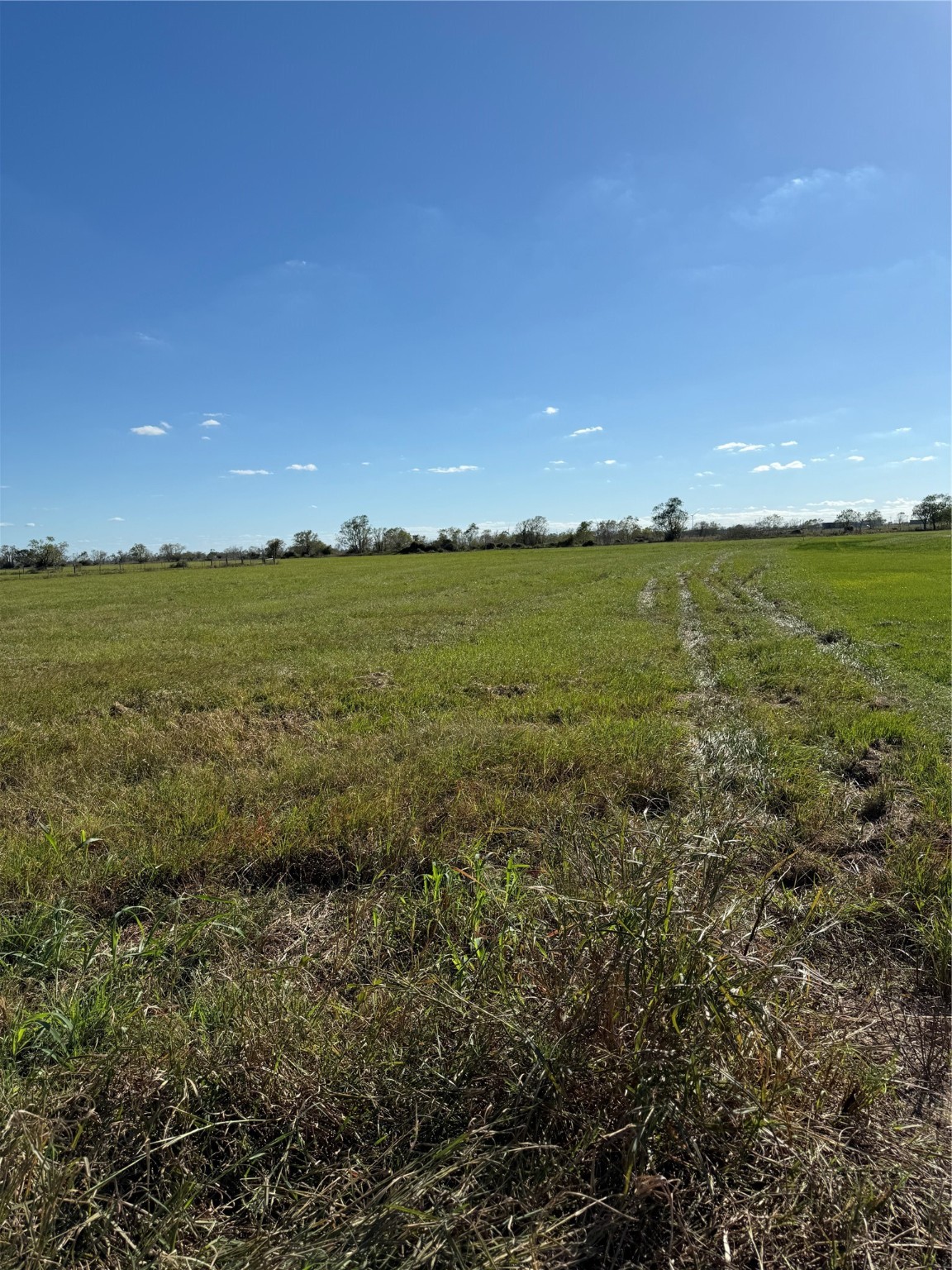 LOT 8 Fm 457, Bay City, TX, 77414 | 12877486 | Realty Texas LLC