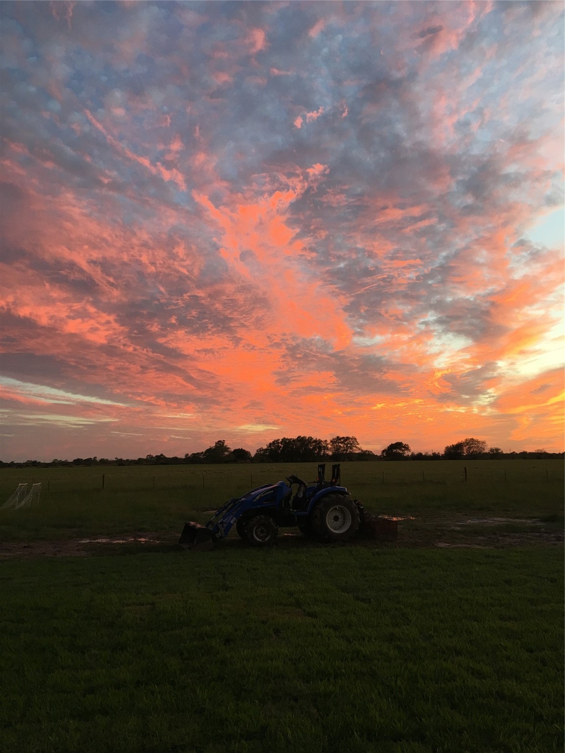 LOT 8 Fm 457, Bay City, TX, 77414 | 12877486 | Realty Texas LLC