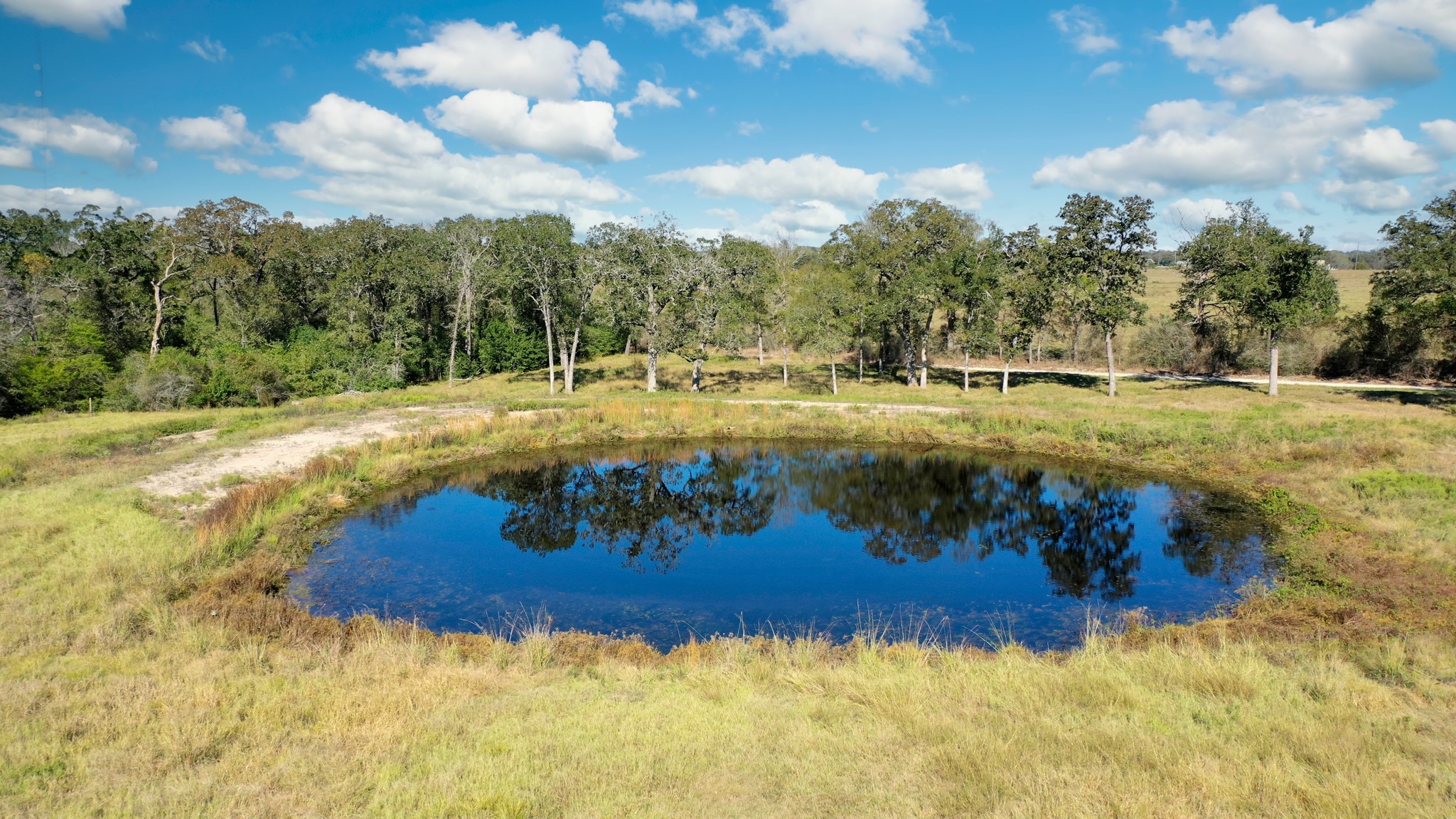 1906 Cannon Lane , Madisonville, TX, 77864 | 96799236 | Realty Texas LLC