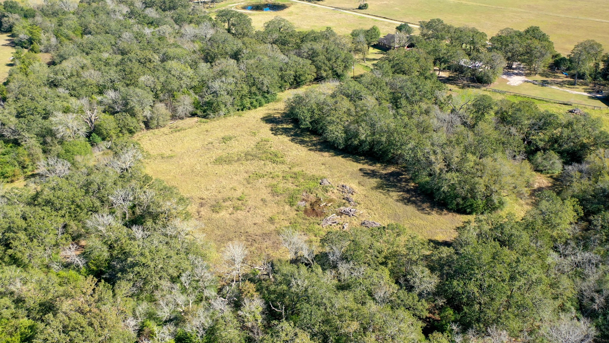 1906 Cannon Lane , Madisonville, TX, 77864 | 96799236 | Realty Texas LLC