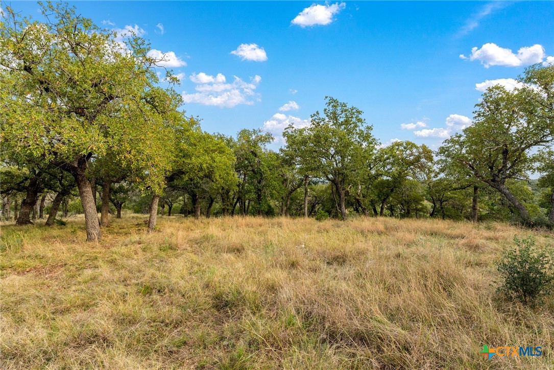 Lots 94, 95 E 95 W Rocky Hollow , San Saba, TX, 76877 | 563217 | Realty Texas LLC