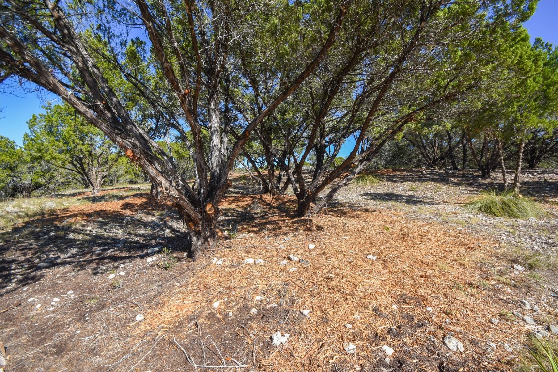 20008 Charlestown Cove , Lago Vista, TX, 78645 | 9390922 | Realty Texas LLC